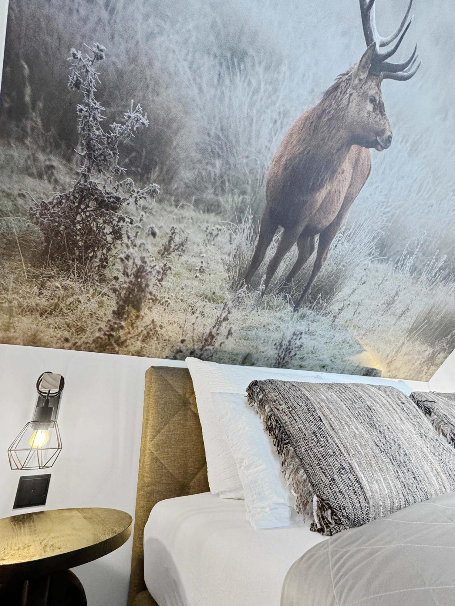 Cblue: Seeblick, Kamin, Wallbox, Natur Bentwisch Luaran gambar