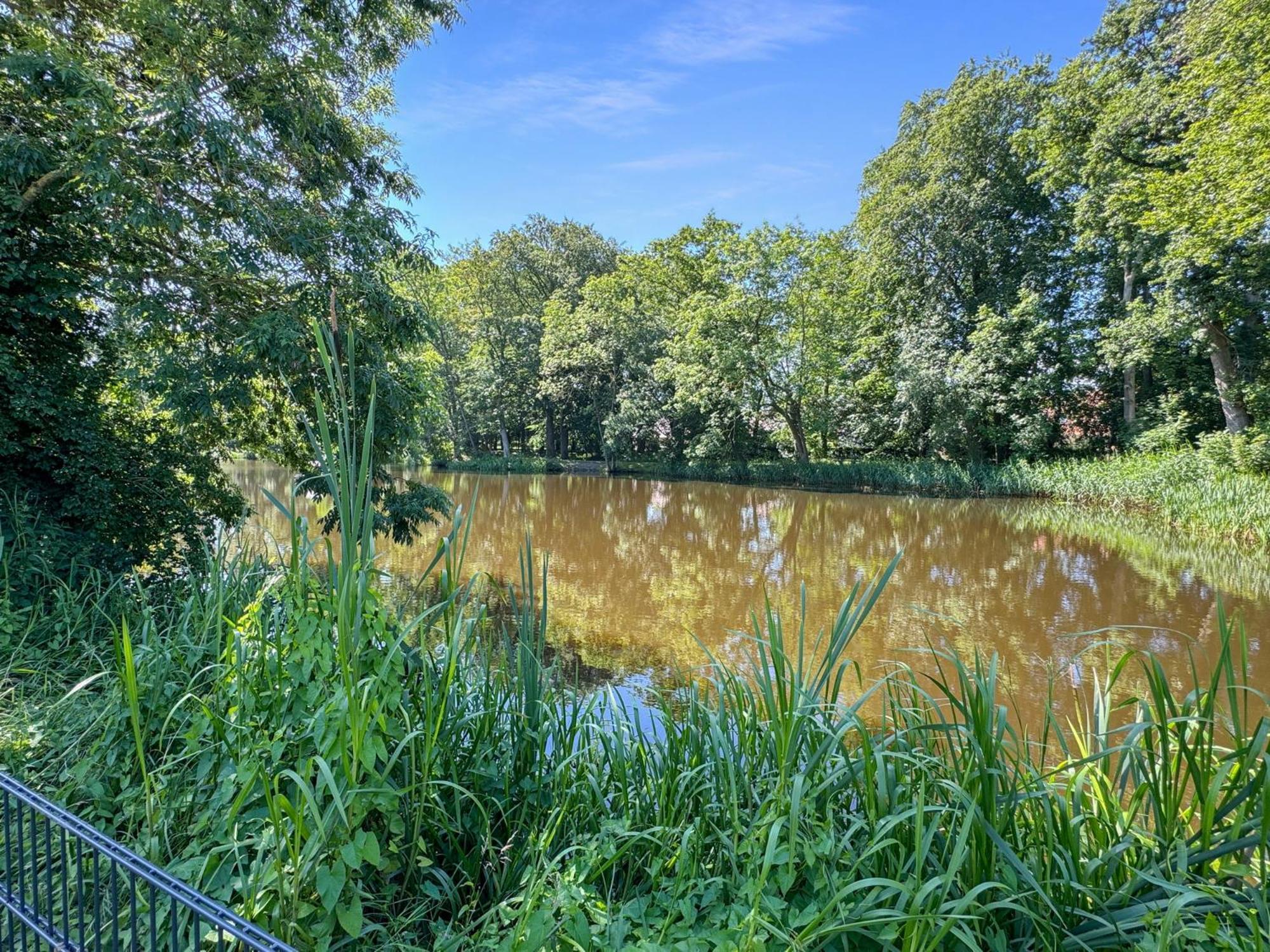 Cblue: Seeblick, Kamin, Wallbox, Natur Bentwisch Luaran gambar